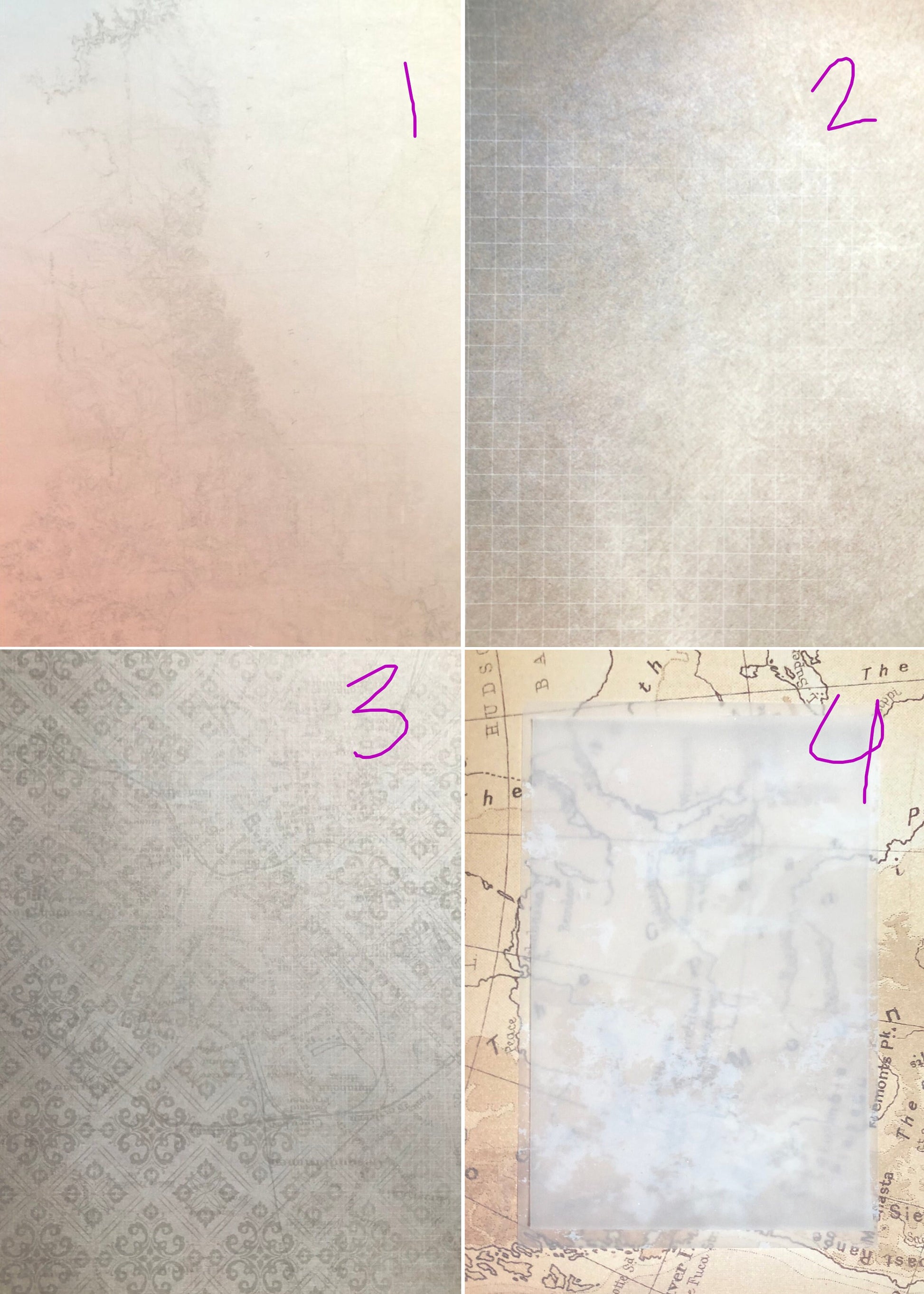 Brood X (2021) Cicada Framed