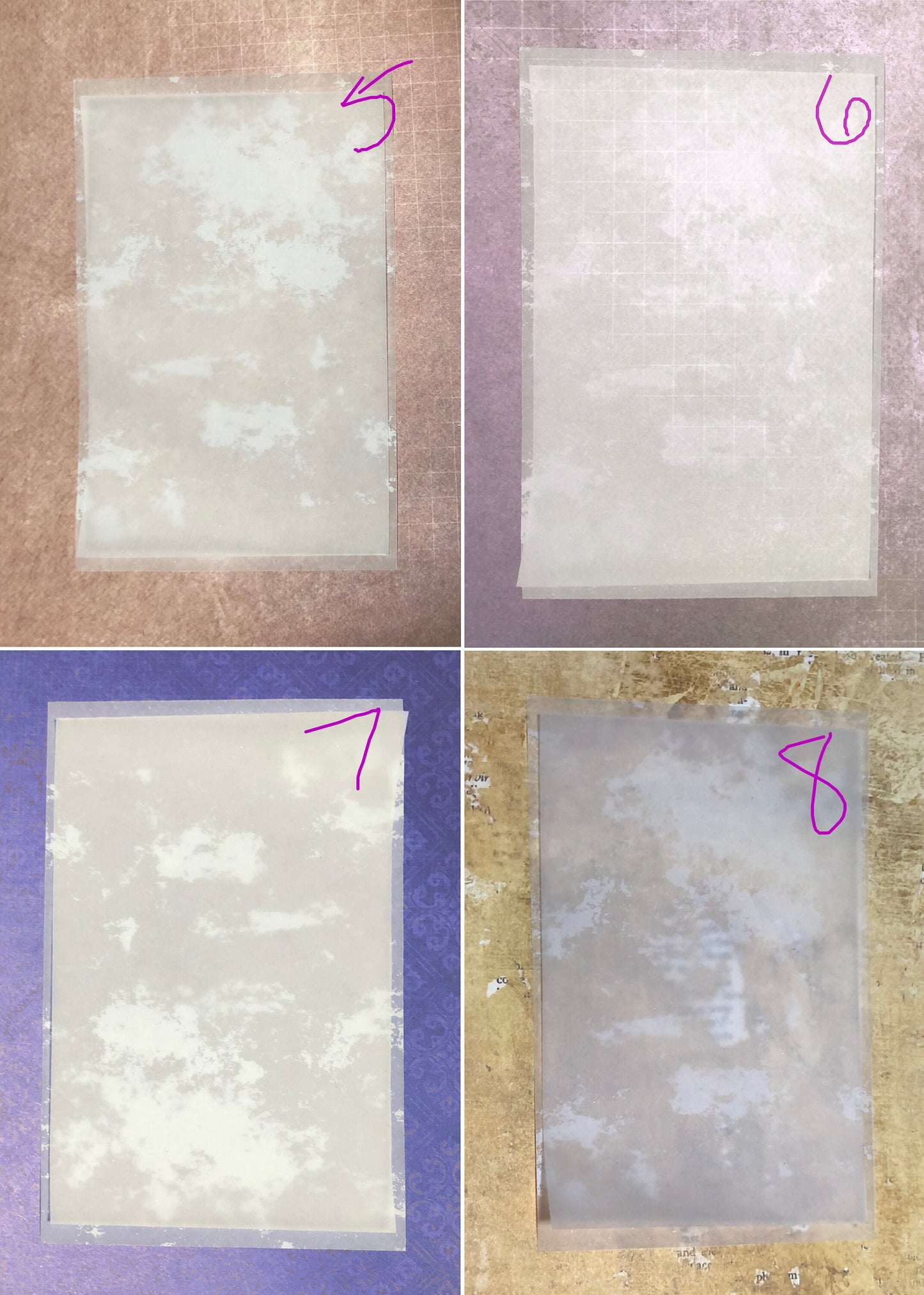 Brood X (2021) Cicada Framed