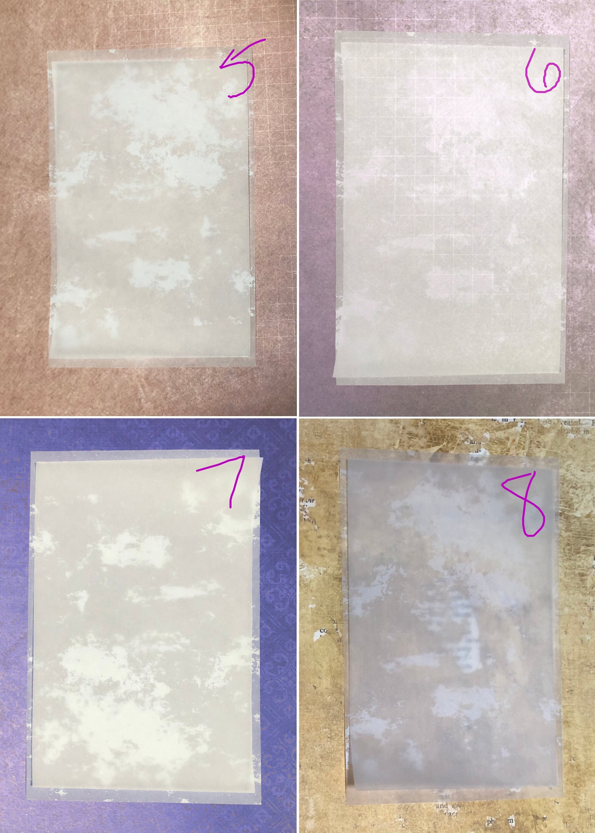 Brood X (2021) Cicada Framed